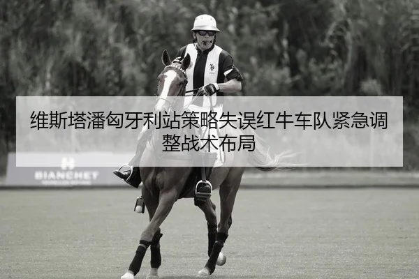 维斯塔潘匈牙利站策略失误红牛车队紧急调整战术布局