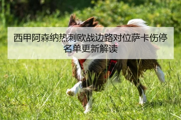 西甲阿森纳热刺欧战边路对位萨卡伤停名单更新解读